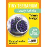 UNIQUE GARDENER Unique Gardener Tiny Terrarium  Lovely Lobelia
