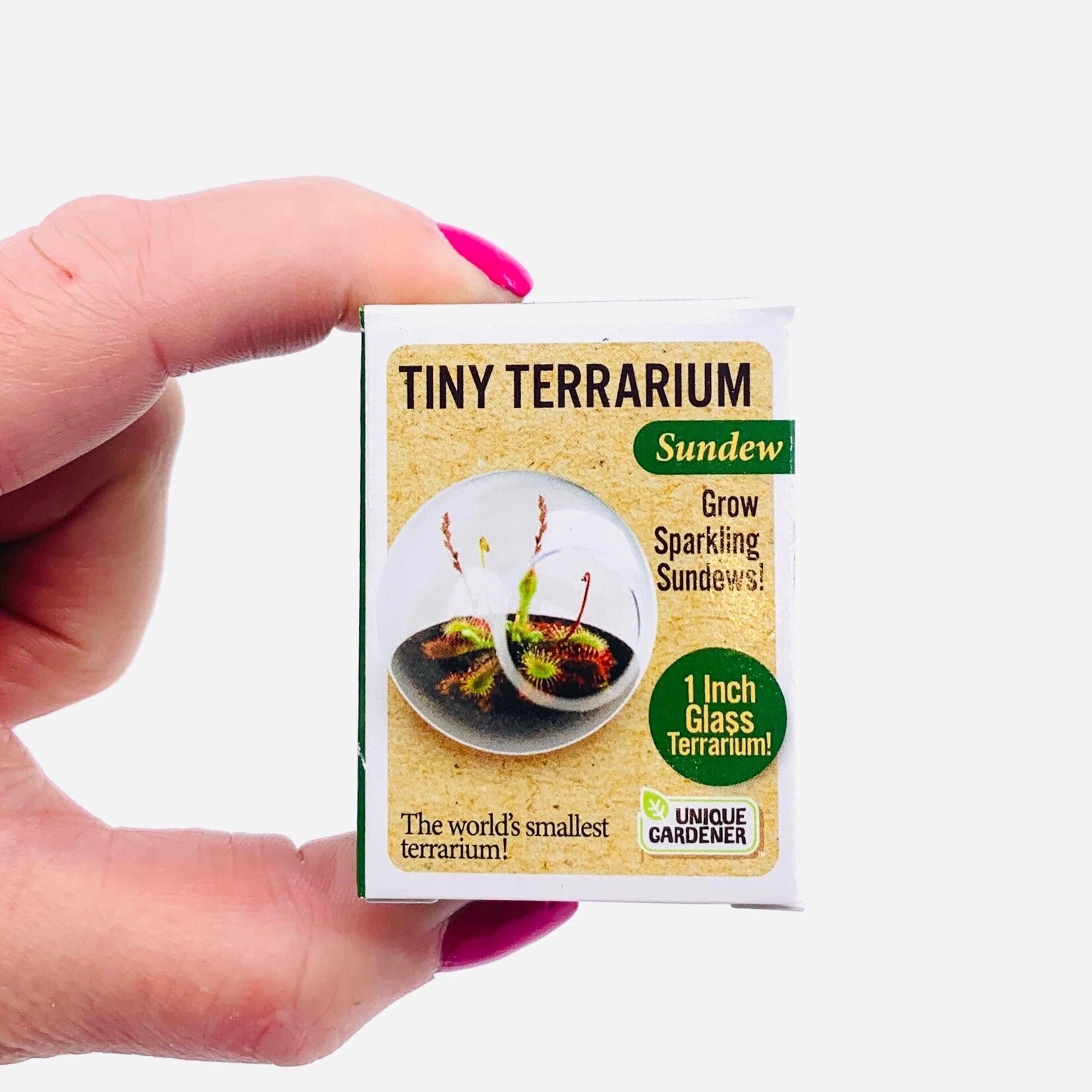 UNIQUE GARDENER Unique Gardener Tiny Terrarium  Lovely Lobelia