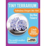 UNIQUE GARDENER Unique Gardener Tiny Terrarium Fabulouse Forget- Me- Not