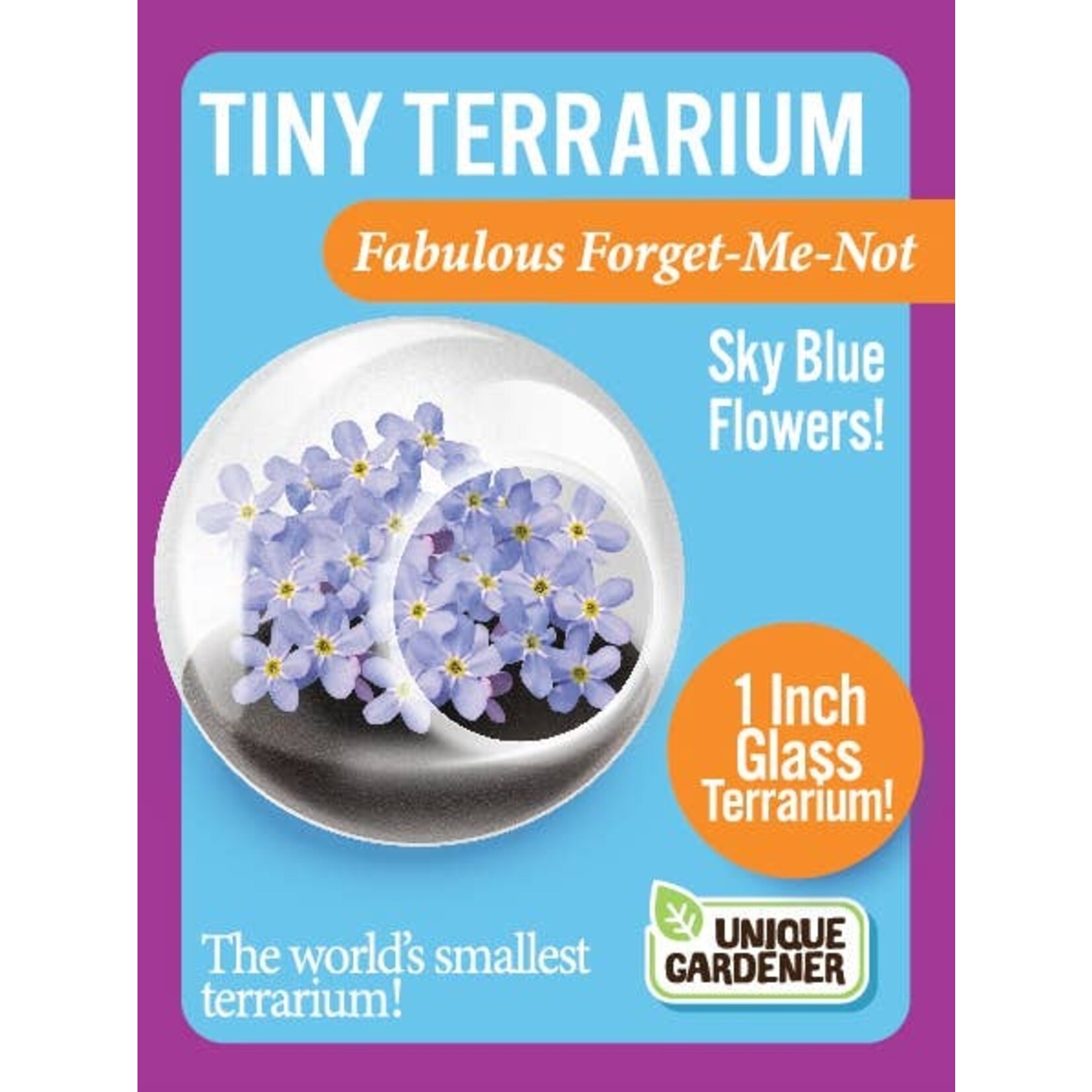 UNIQUE GARDENER Unique Gardener Tiny Terrarium Fabulouse Forget- Me- Not
