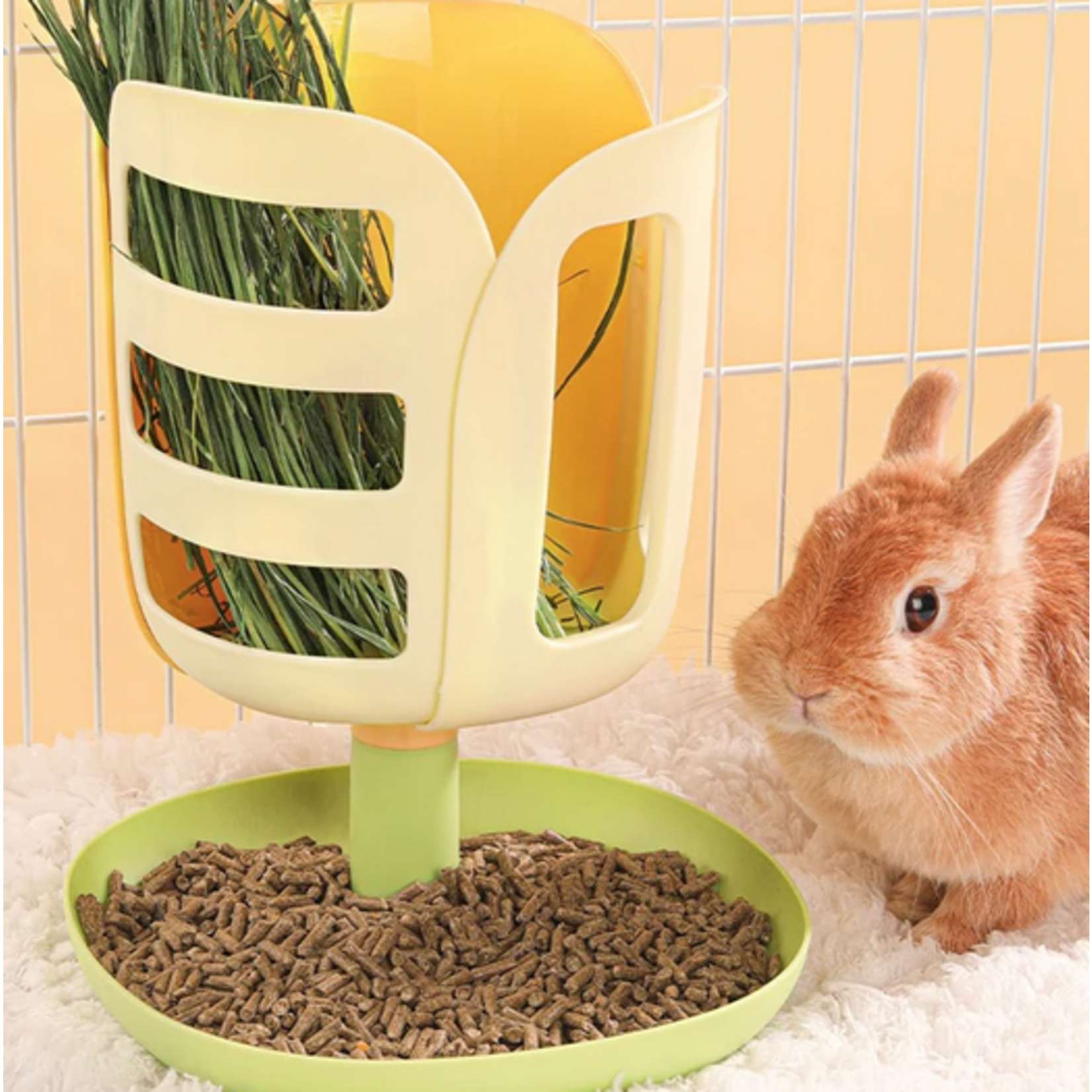 MINI & MOE M&M Tulip Hay Feeder - Orange