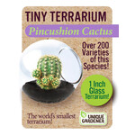 UNIQUE GARDENER Unique Gardener Tiny Terrarium Pincushion Cactus