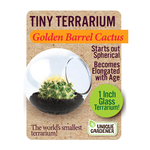 UNIQUE GARDENER Unique Gardener Tiny Terrarium Golden Barrel Cactus