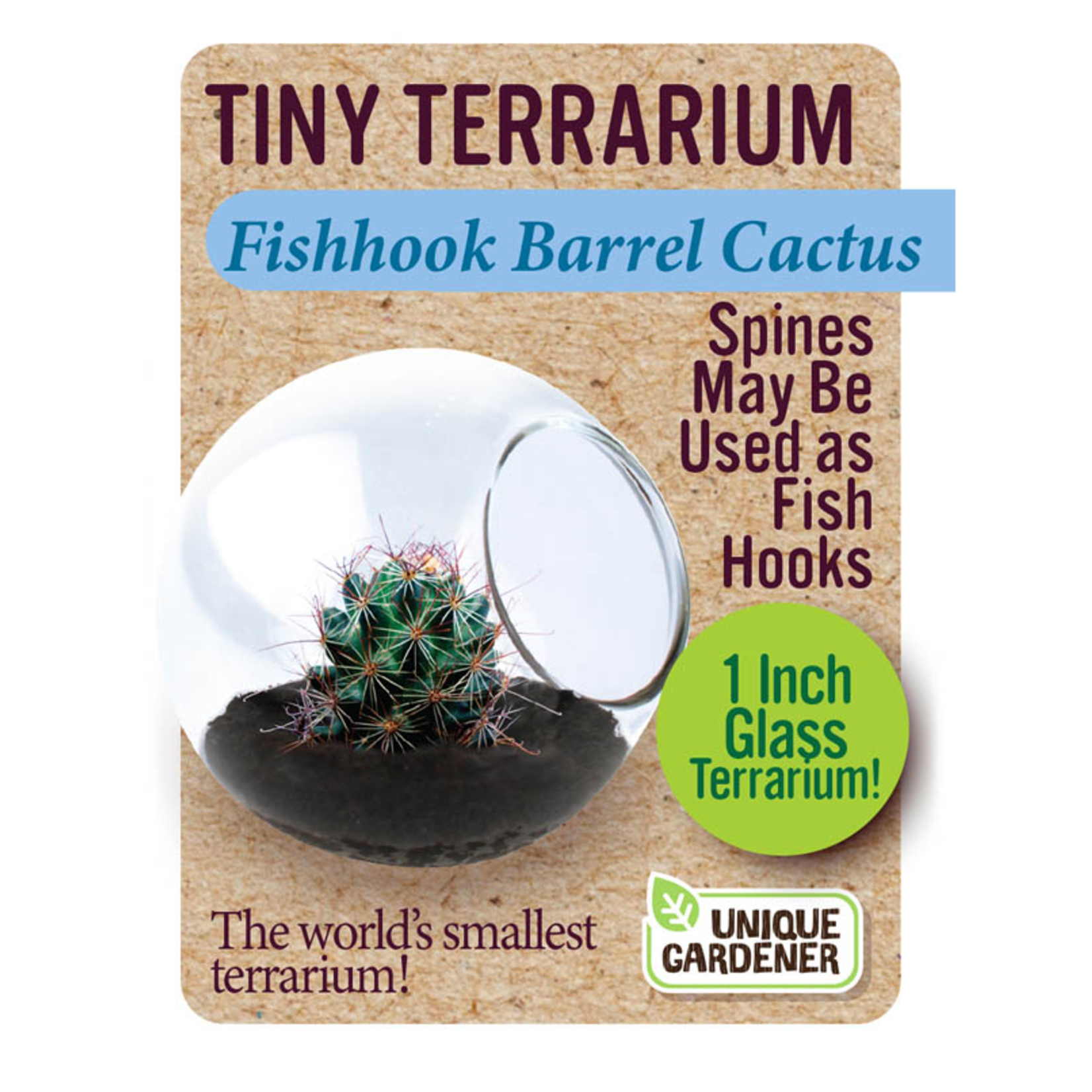 UNIQUE GARDENER Unique Gardener Tiny Terrarium Fishhook Barrel Cactus