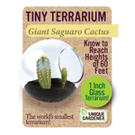 UNIQUE GARDENER Unique Gardener Tiny Terrarium Giant Saguaro Cactus