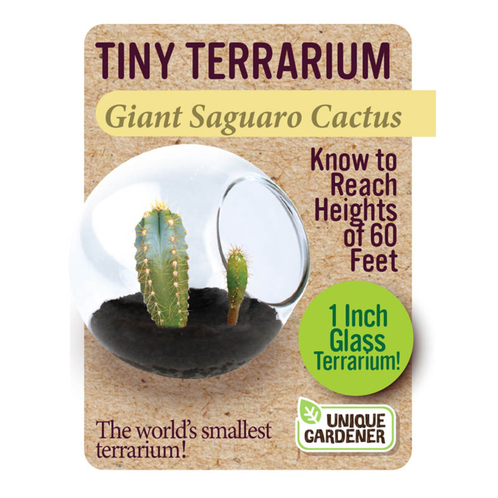 UNIQUE GARDENER Unique Gardener Tiny Terrarium Giant Saguaro Cactus