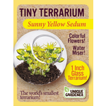 UNIQUE GARDENER Unique Gardener Tiny Terrarium Sunny Yellow Sedum