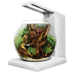 FLUVAL Fluval LIV Microscaping Aquarium Kit - White - 33 x 31.75 cm (13 x 12.5 in)