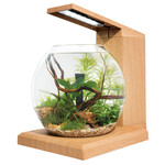 FLUVAL Fluval LIV Microscaping Aquarium Kit - Teak - 33 x 31.75 cm (13 x 12.5 in)