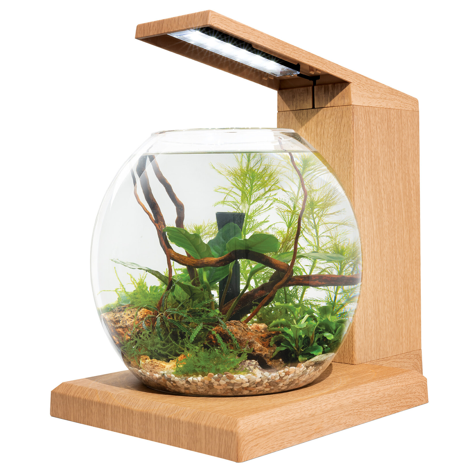 FLUVAL Fluval LIV Microscaping Aquarium Kit - Teak - 33 x 31.75 cm (13 x 12.5 in)