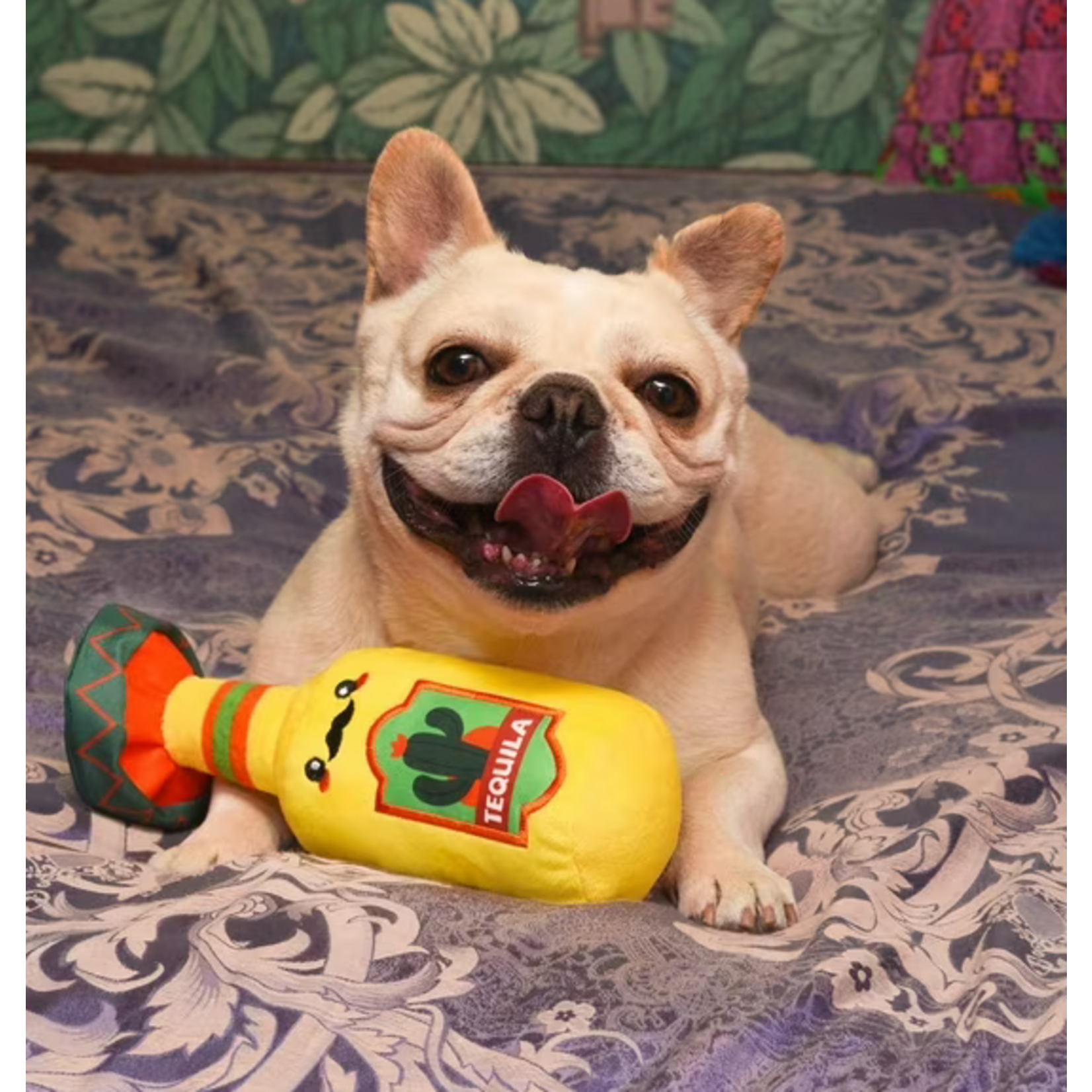 HUGSMART Hugsmart Fuzzy Friendz Fiesta Chewsday - Tequila