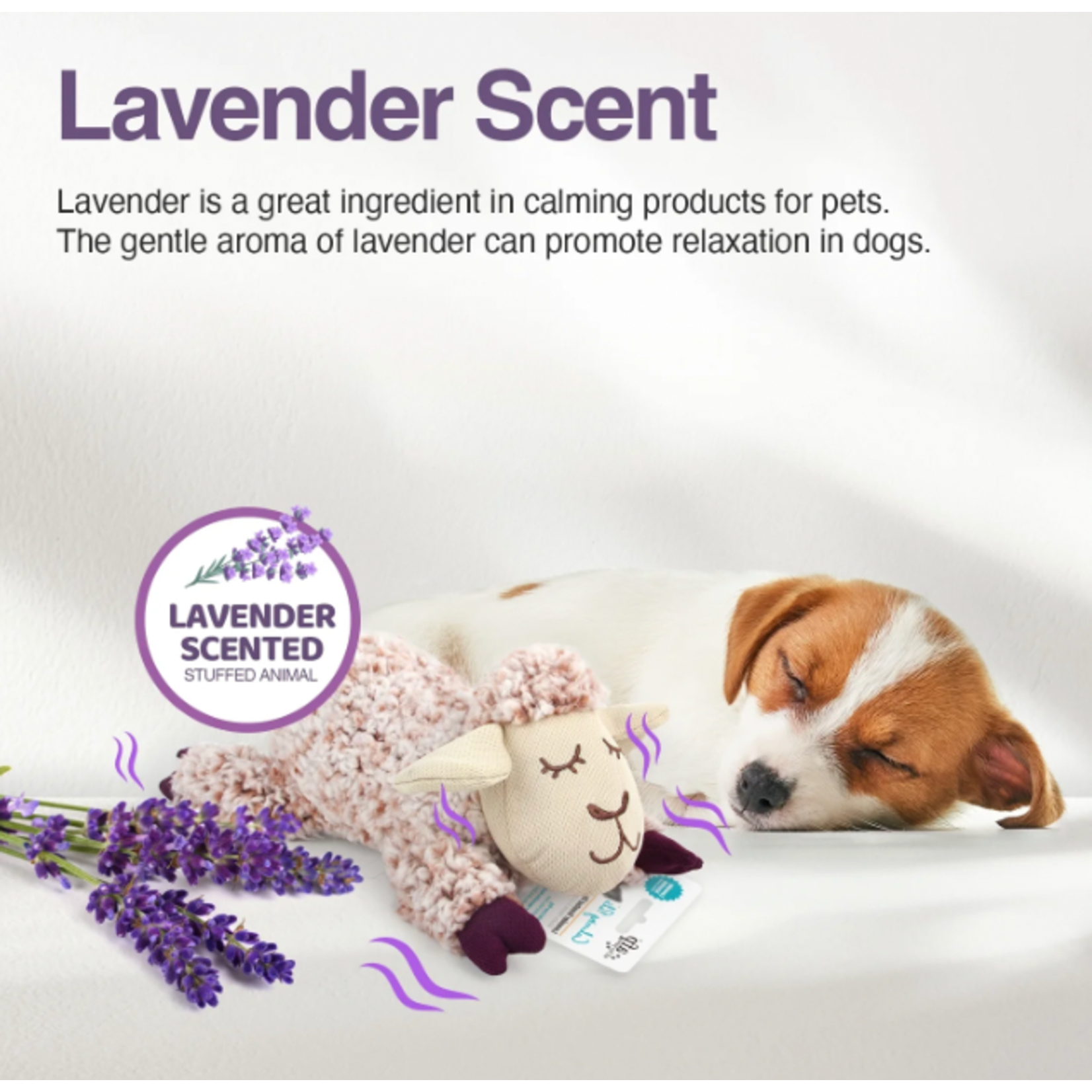 AFP ALL FOR PAWS Calming Pals Lavender Scent Sheep