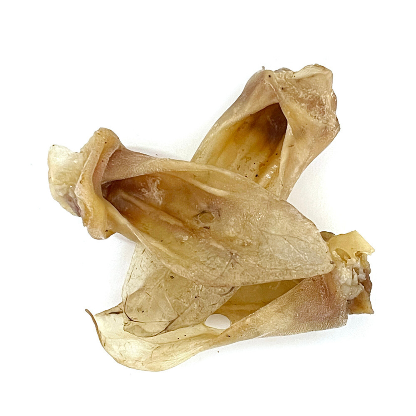 SOL sōl Lamb Ear 1pc