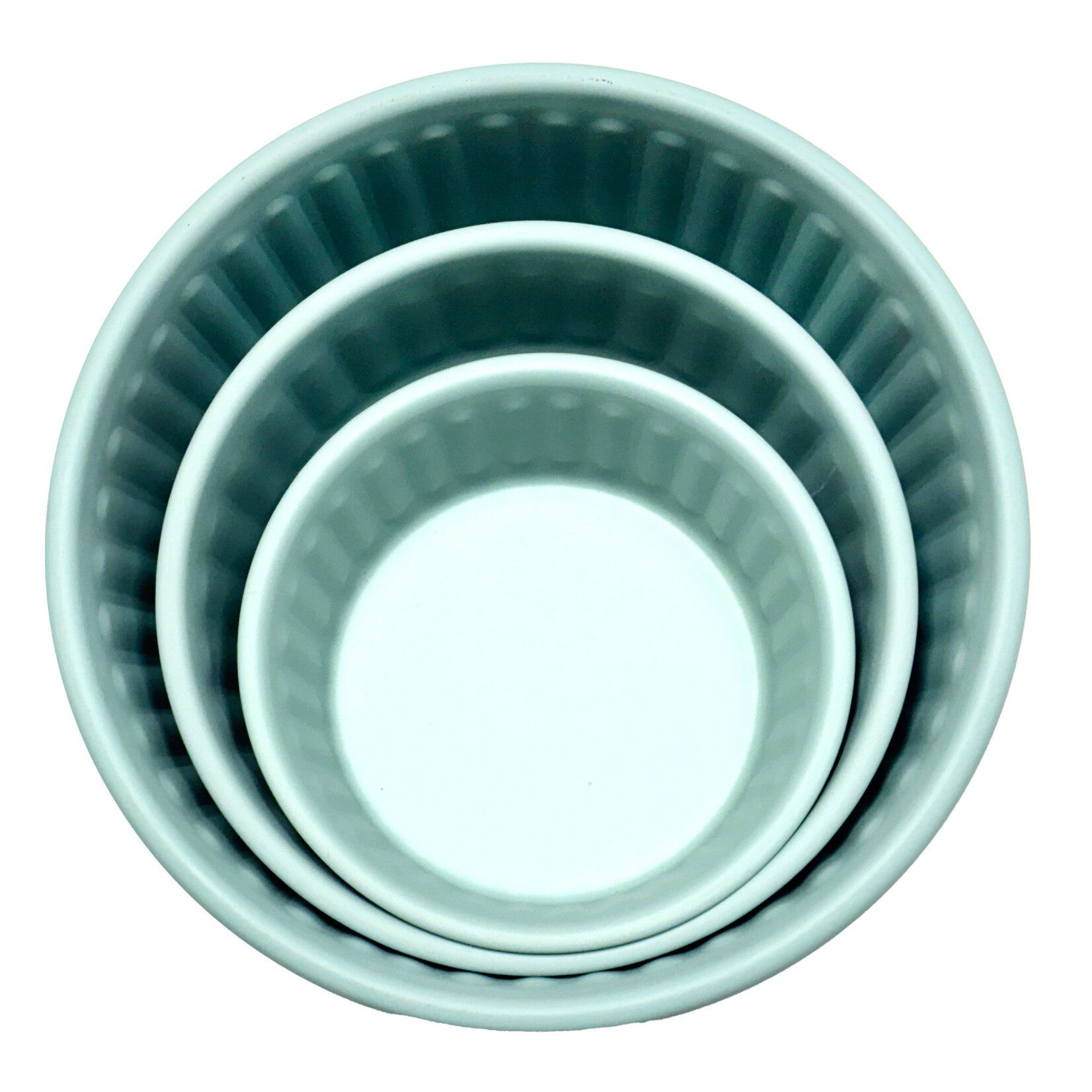 BURGHAM SST Powder-Coated Embossed Premium Antiskid Dog Bowl Teal 470 mL