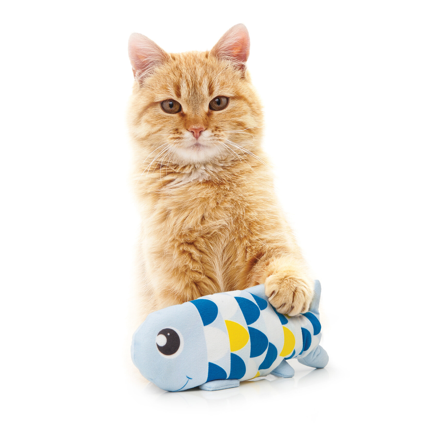 CAT IT Catit Groovy Fish - Blue