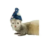 MARSHALL Marshall Ferret Fleece Winter Cap