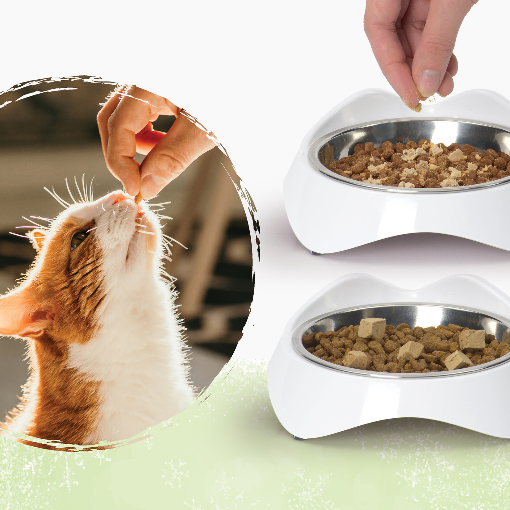 CAT IT (D) Catit Freeze-Dried Raw Treat, Duck & Chicken Liver, 28.4 g