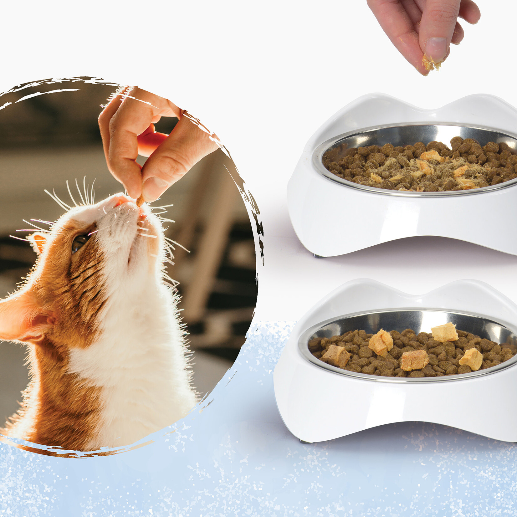 CAT IT Catit Freeze-Dried Raw Treat, Tuna, 28.4 g