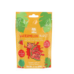 BLUE RIVER BLUE RIVER DIETS Watermelon Burst Gecko Diet 60g