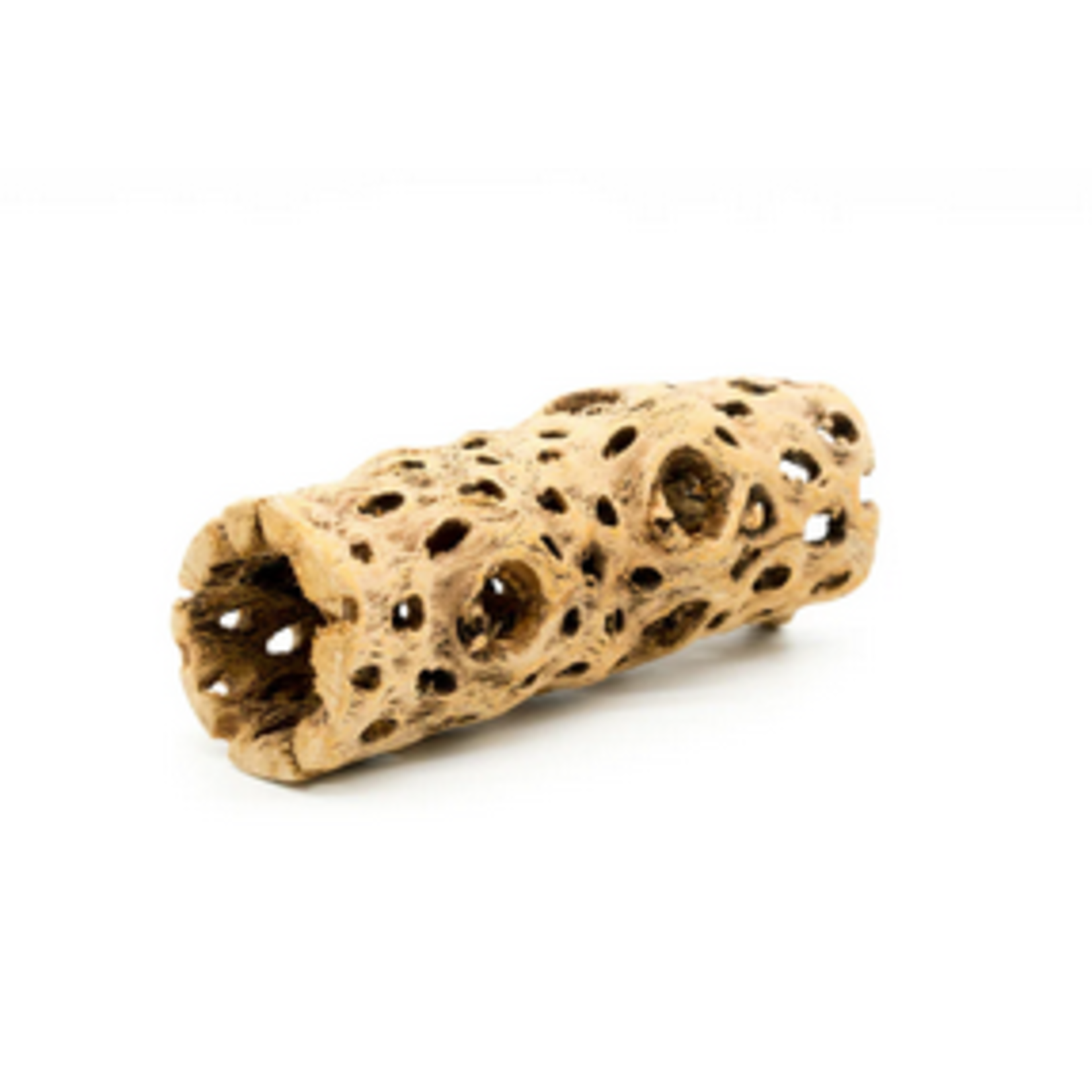 UNDERWATER TREASURES Underwater Treasures Medium Cholla Tunnel - Medium - 6"
