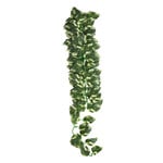 REPTILE TREASURES Reptile Treasures Manjula Plant - 24in