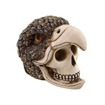 UNDERWATER TREASURES Underwater Treasures Birdman Skull