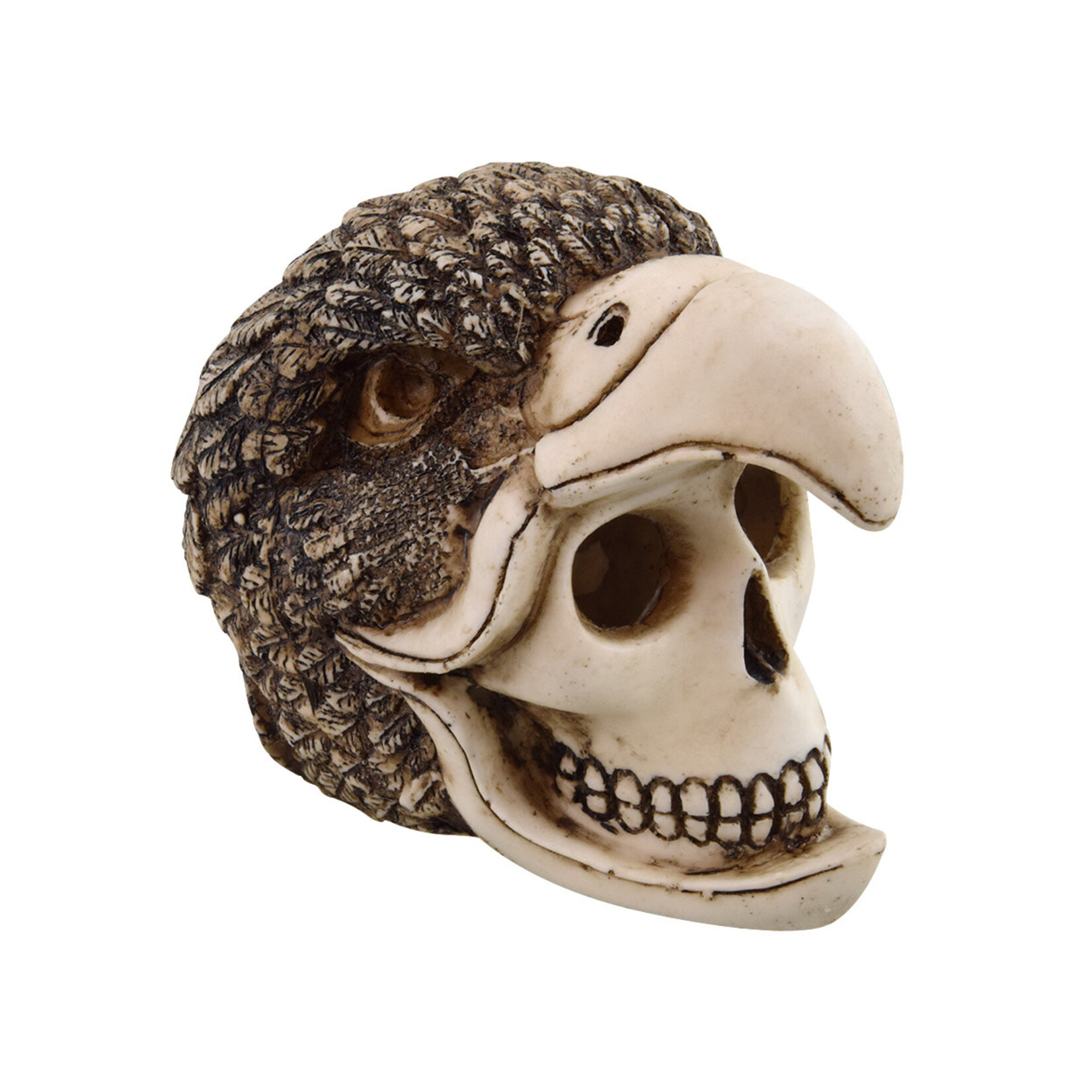 UNDERWATER TREASURES Underwater Treasures Birdman Skull