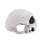 REPTILE TREASURES Reptile Treasures Ceramic Skull - Medium