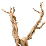 UNDERWATER TREASURES Ghostwood - Large - 18-24"