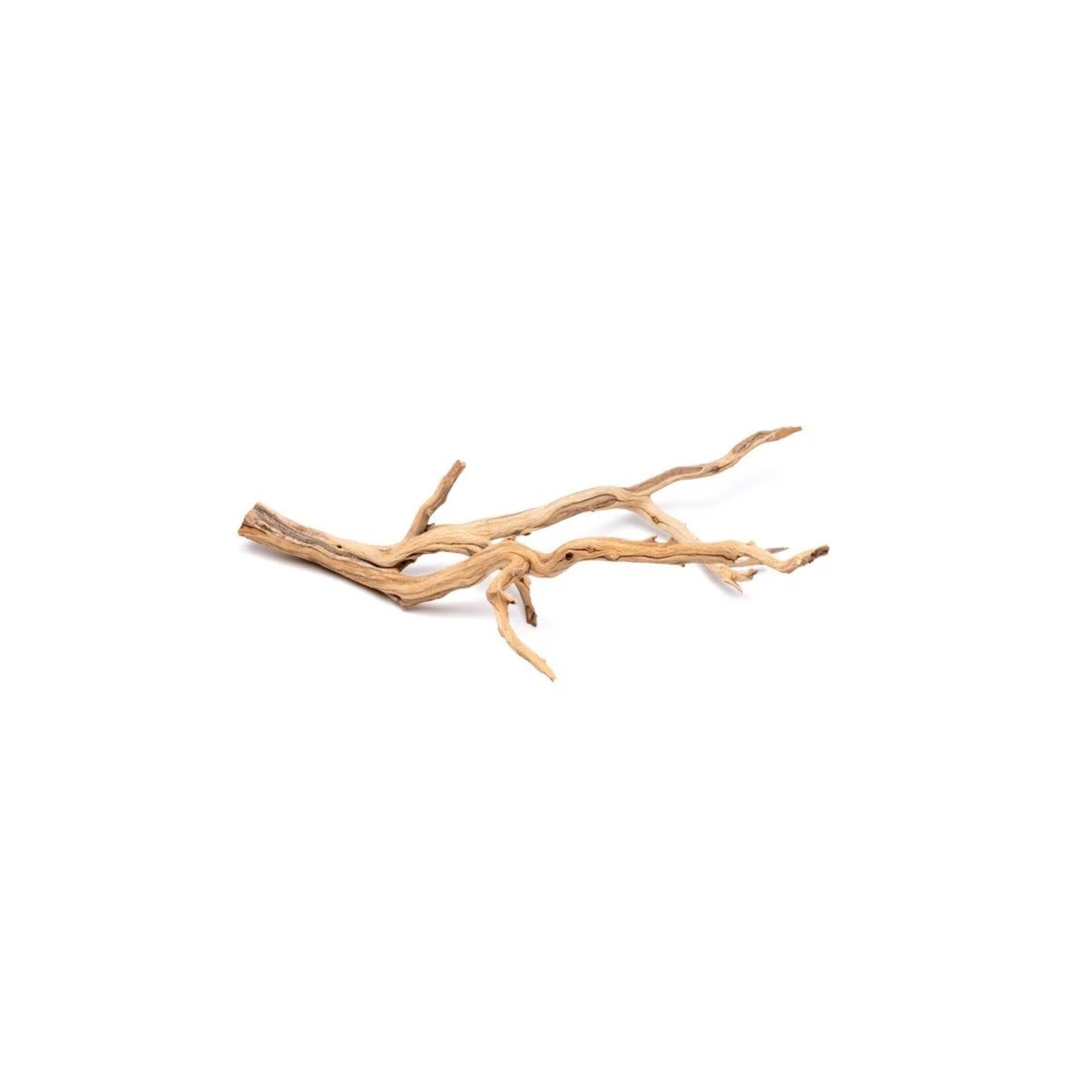 UNDERWATER TREASURES Ghostwood - Medium - 14-16"