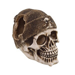 UNDERWATER TREASURES Underwater Treasures Buccaneer Skull