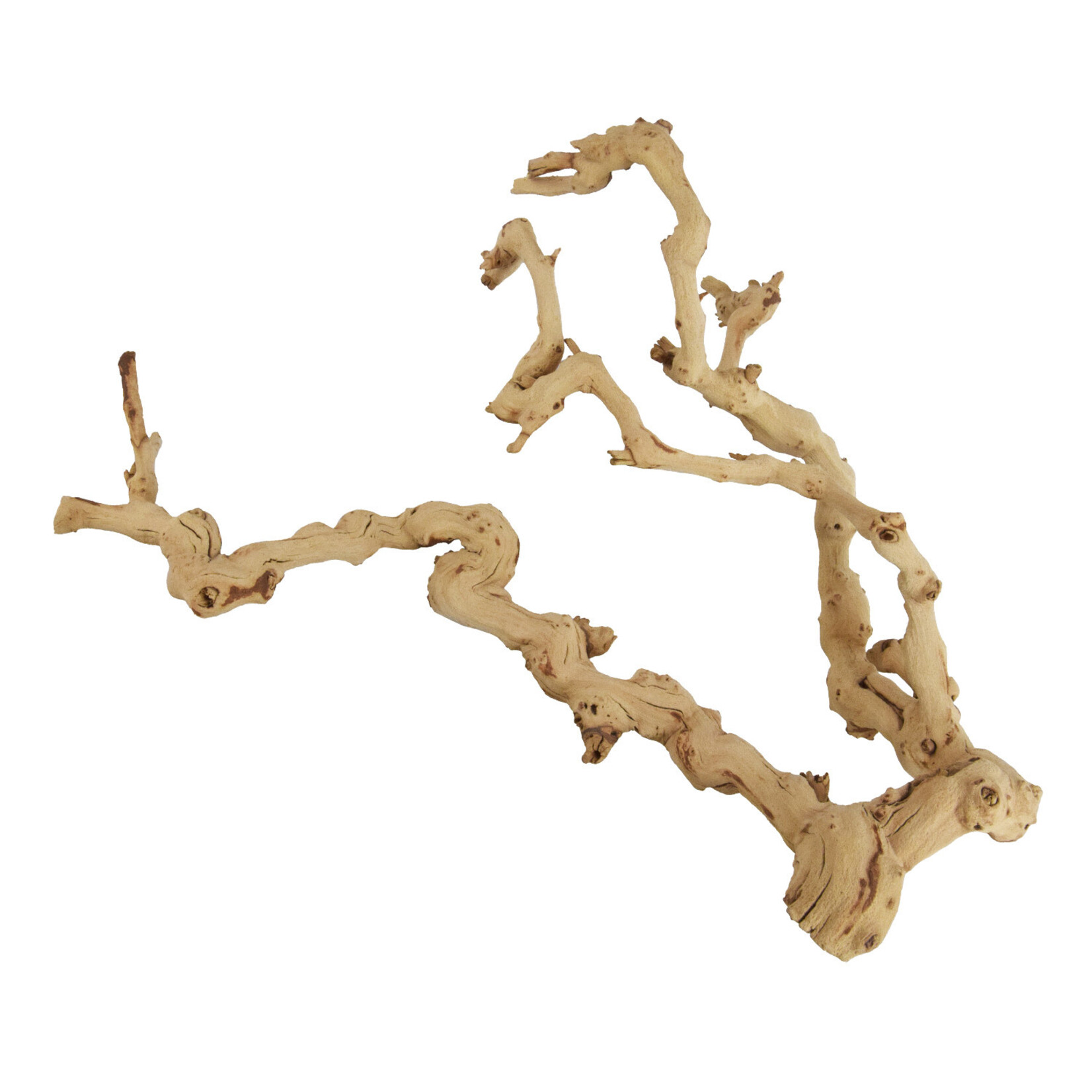 UNDERWATER TREASURES Underwater Treasures Grapewood - Medium - 14-16"