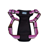 COASTAL K9 Explorer Reflective Adjustable Padded Harness Orchid Dog  - XS -   12-18in
