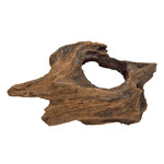 UNDERWATER TREASURES Underwater Treasures Natural wood - Small