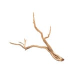 UNDERWATER TREASURES Underwater Treasures Ghostwood - X-Small