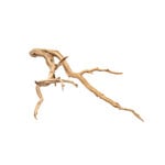 UNDERWATER TREASURES Underwater Treasures Ghostwood - Small - 8-10"