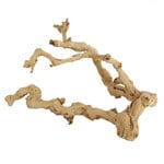 UNDERWATER TREASURES Underwater Treasures Grapewood - Small - 8-10"