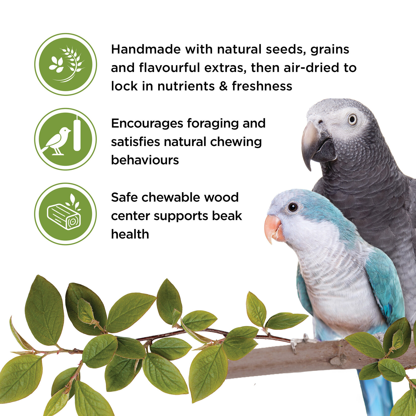 LIVING WORLD Living World Sticks - Parrot Treat - Fruit Melody - 2 pieces - 100 g (3.53 oz)