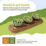 LIVING WORLD Living World Edible Cabbages Chew Toy - Multicolour - 165 g (5.8 oz)