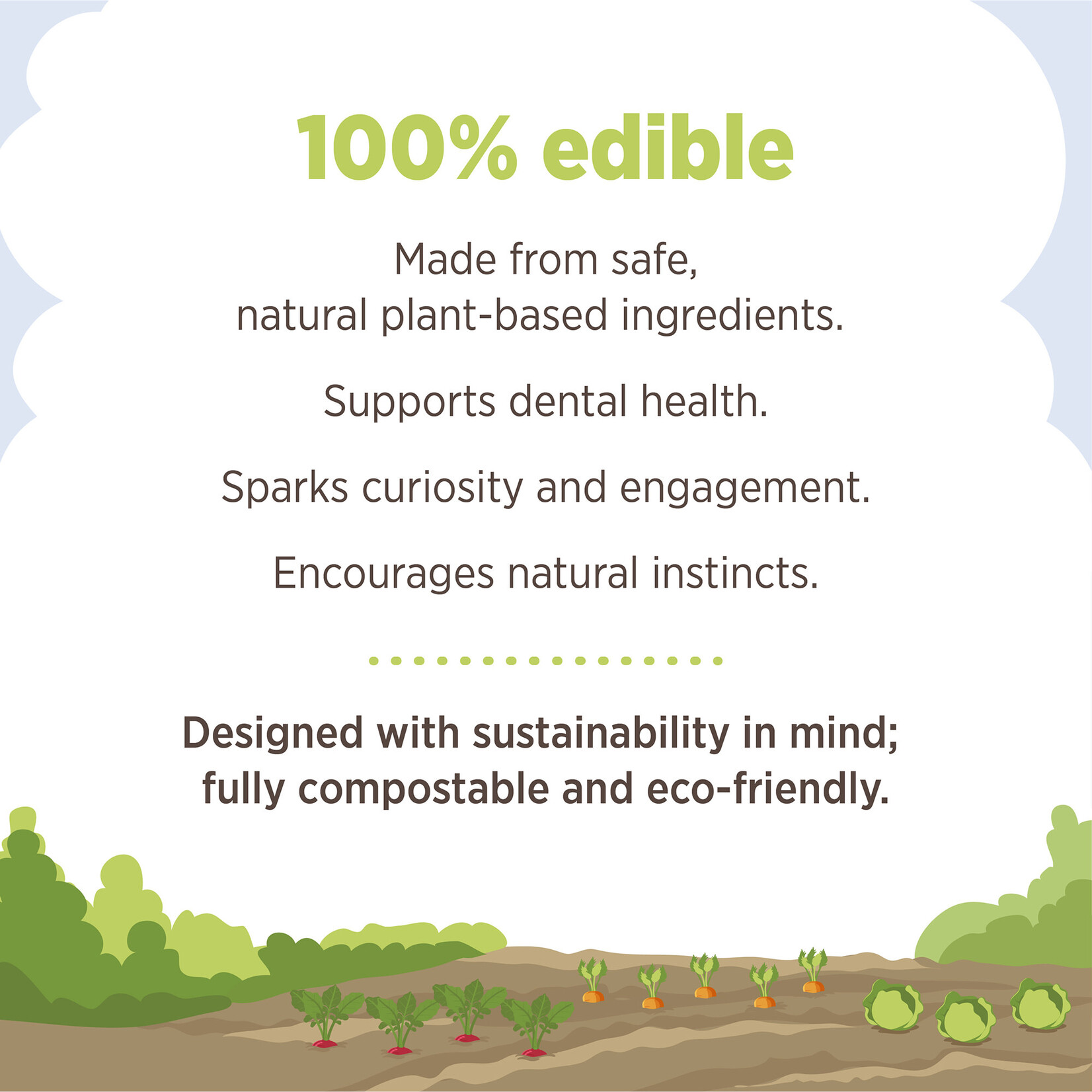 LIVING WORLD Living World Edible Cabbages Chew Toy - Multicolour - 165 g (5.8 oz)