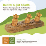 LIVING WORLD Living World Edible Carrot Patch Chew Toy - Multicolour - 140 g (4.9 oz)