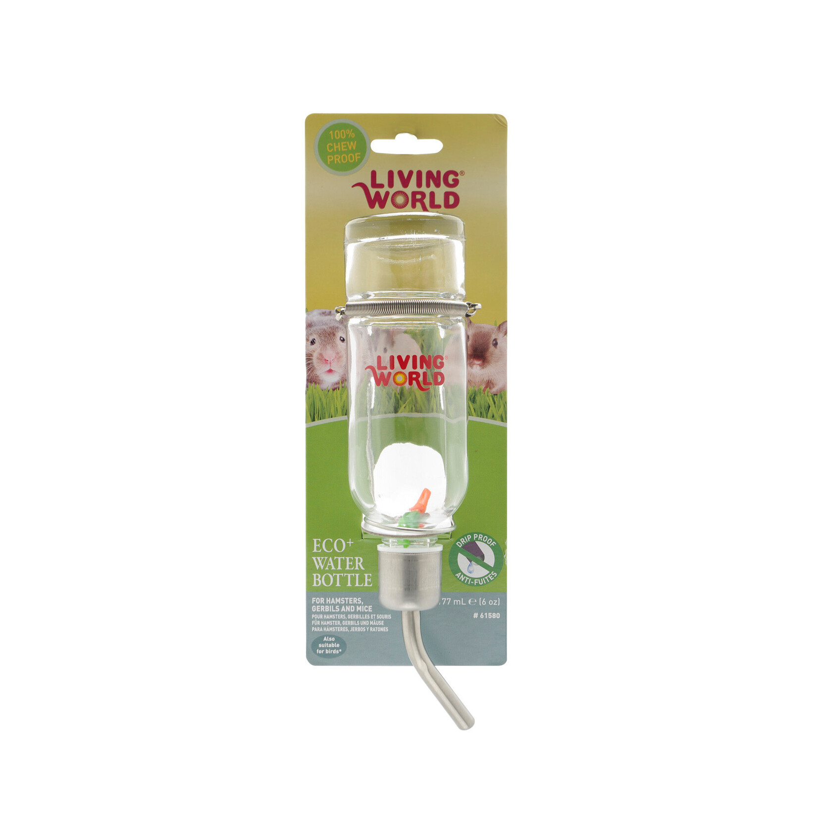 LIVING WORLD Living World Eco+ Water Bottle - 177 ml (6 fl oz)