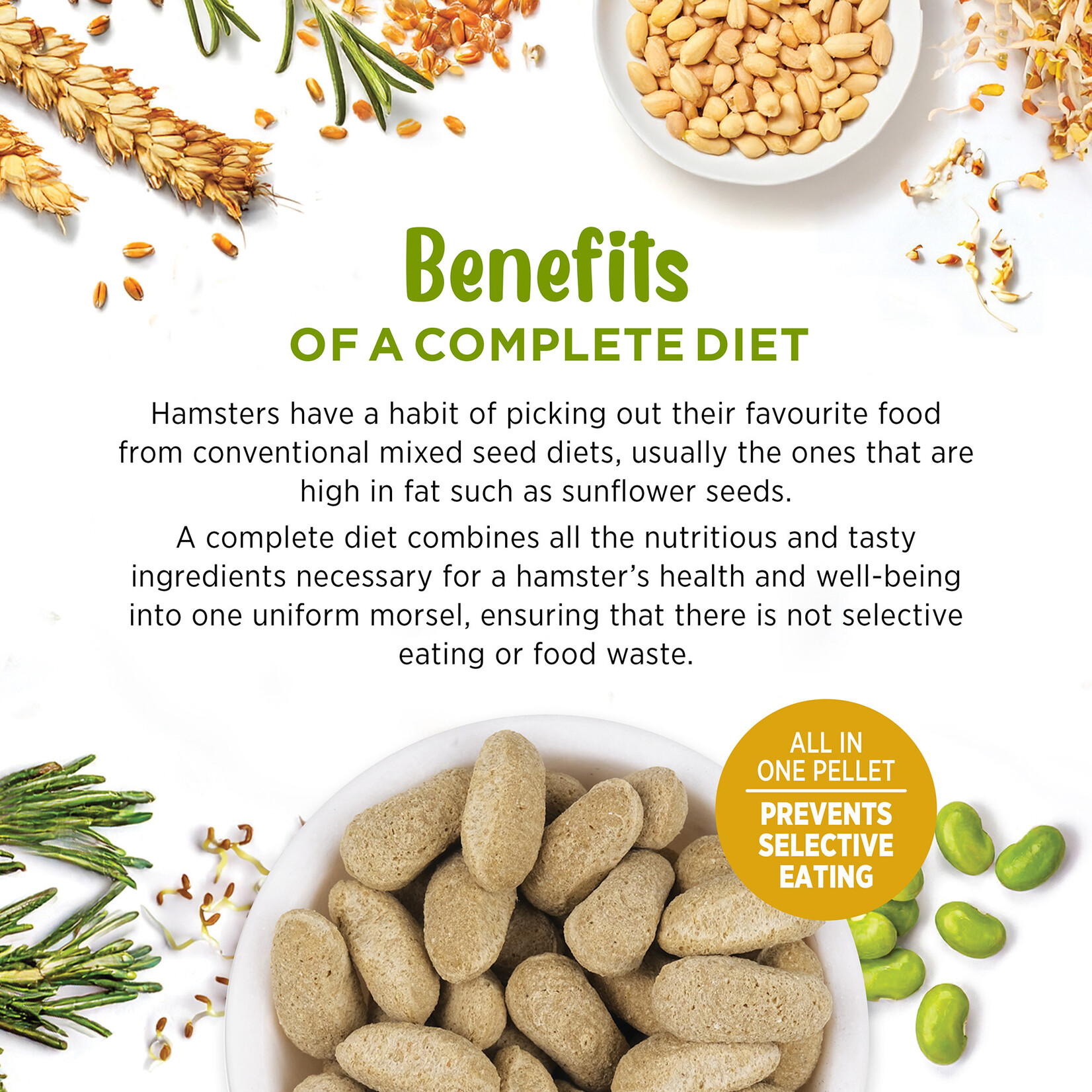 LIVING WORLD Living World Extrusion Diet for Hamsters - 1.5 kg (3.3 lbs)