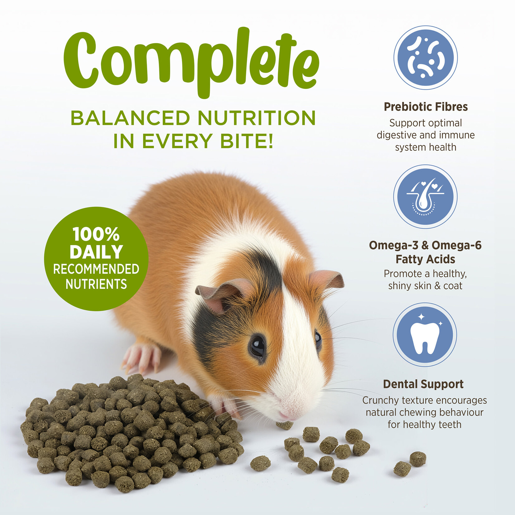 LIVING WORLD Living World Extrusion Diet for Guinea Pigs - 1.4 kg (3.3 lb)