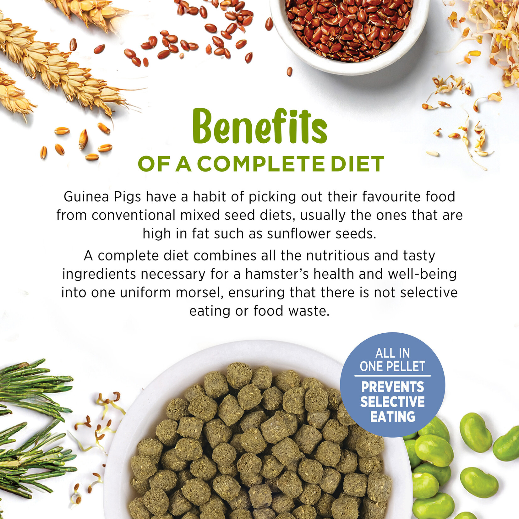 LIVING WORLD Living World Extrusion Diet for Guinea Pigs - 1.4 kg (3.3 lb)