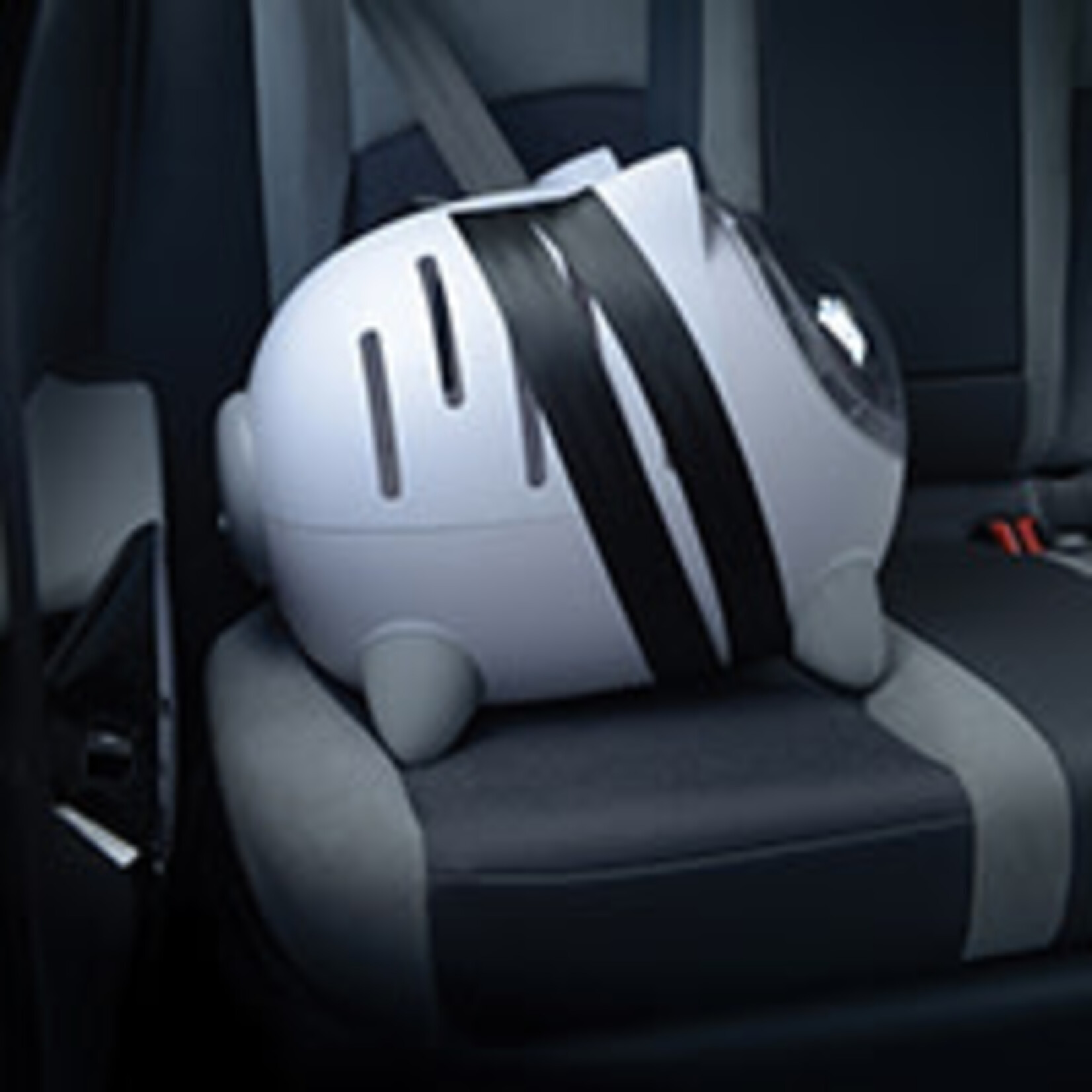 CAT IT Catit PIXI Mio 2-in-1 Cat Bed & Carrier