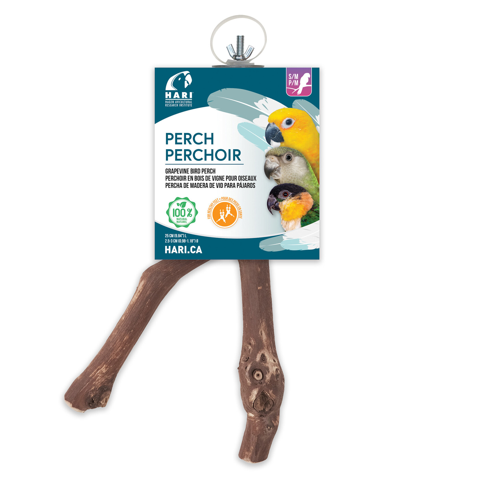 HARI HARI Grapevine Bird Perch - 2.5-3 cm dia. x 25 cm length