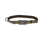 COASTAL K9 Explorer Reflective Adjustable Collar Fern Dog 1pc 1x18-26in
