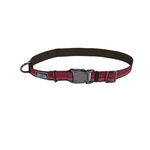COASTAL K9 Explorer Reflective Adjustable Collar Berry Dog 1pc 1x18-26in