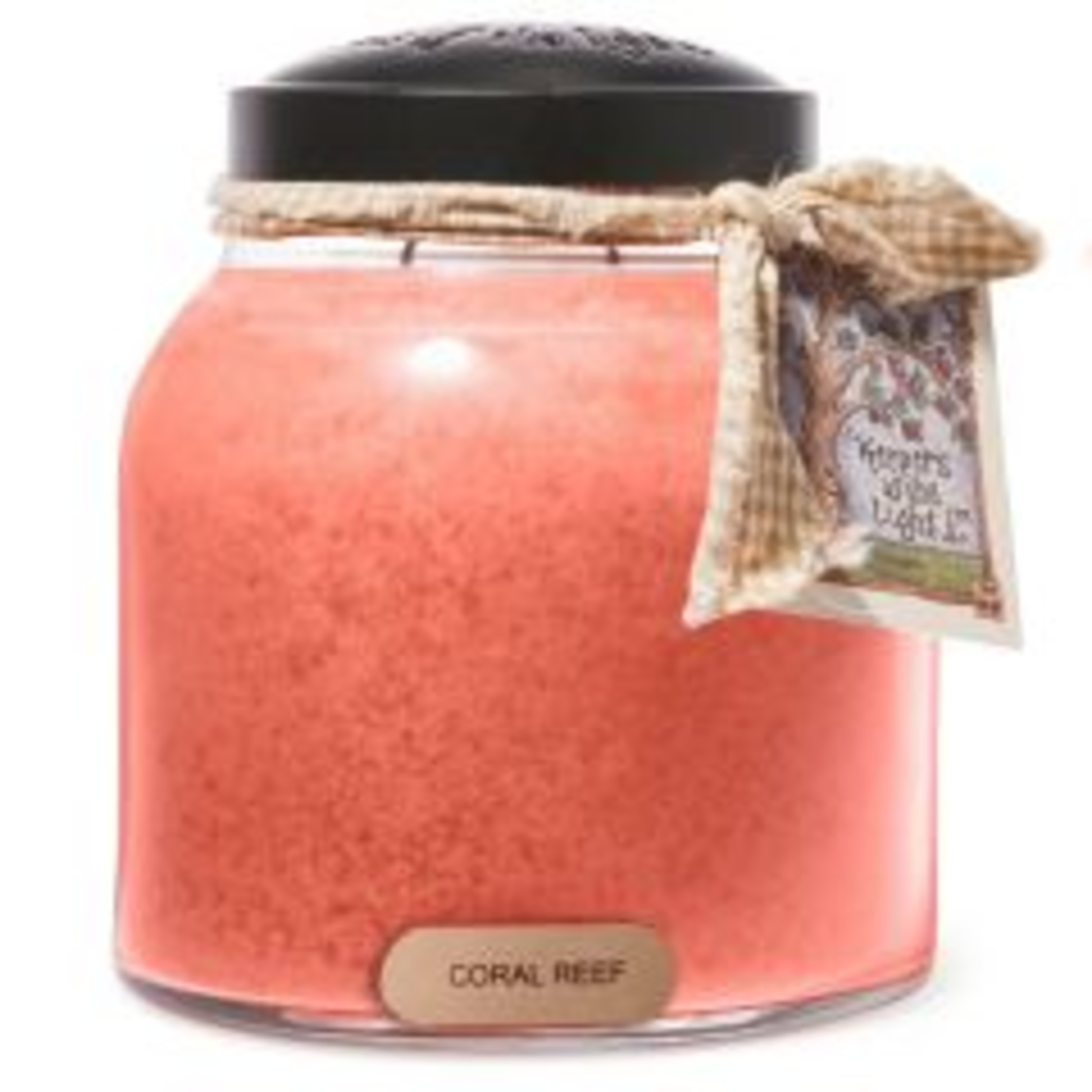 A Cheerful Giver A Cheerful Giver Coral Reef